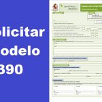 Solicitar modelo 390 de España
