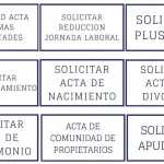 Tipos de solicitud  - Solicitar Acta en España